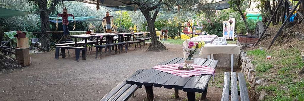 area-pic-nic-parco-degli-ulivi-per-feste