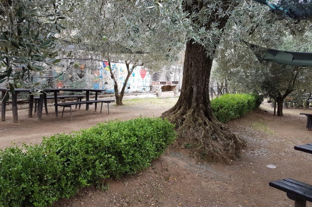 area picnic parco degli ulivi