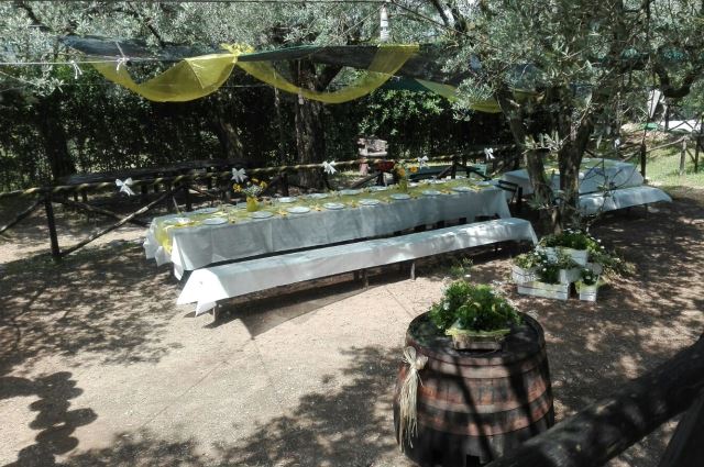 area picnic parco degli ulivi feste